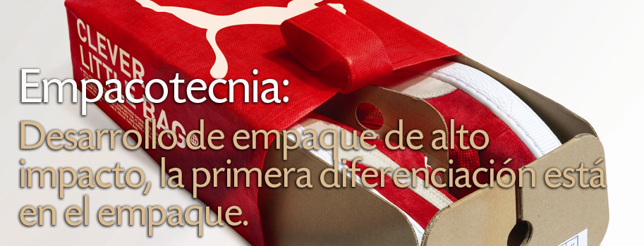 Desarrollo de Empaquer